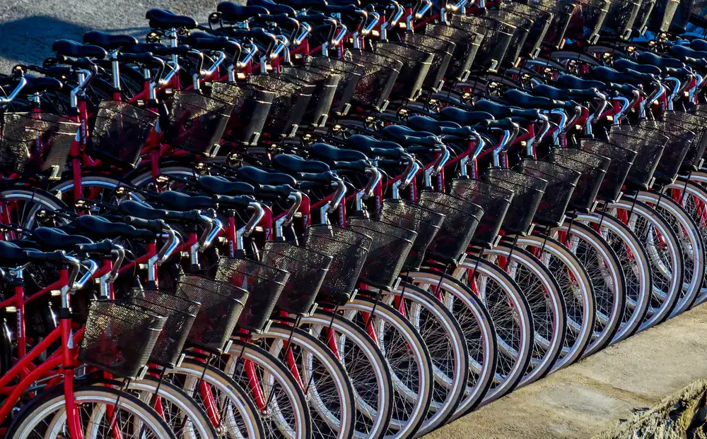 A row of premium road and mountain bikes lined up perfectly